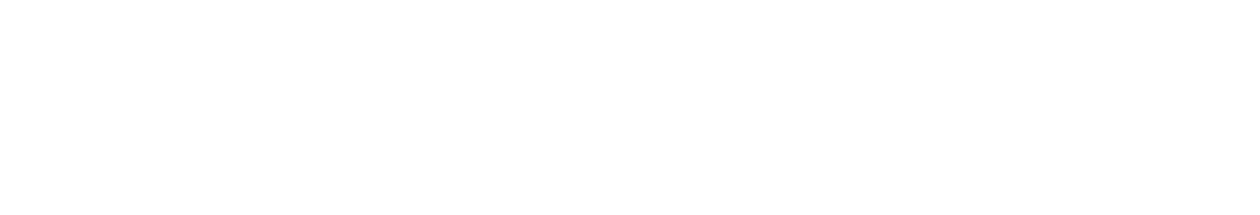 My Portfolio